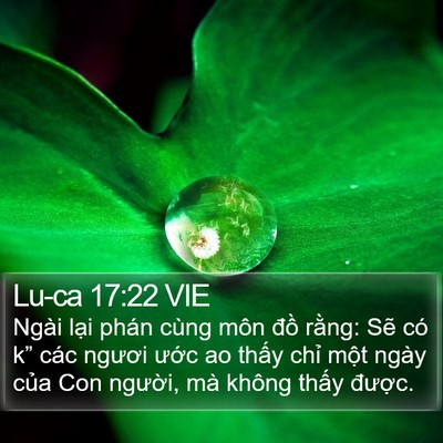 Lu-ca 17:22 VIE Bible Verse Image