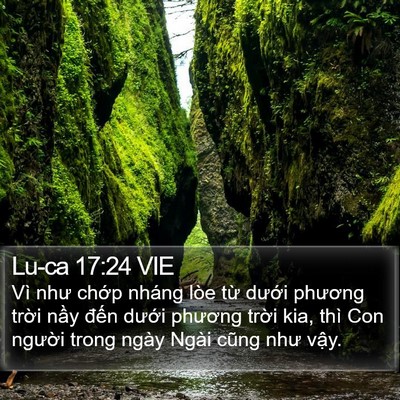 Lu-ca 17:24 VIE Bible Verse Image