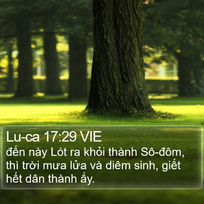 Lu-ca 17:29 VIE Bible Verse Image
