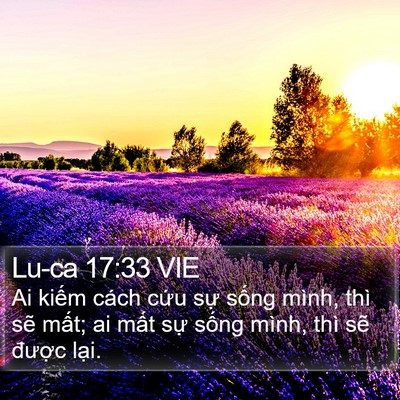 Lu-ca 17:33 VIE Bible Verse Image
