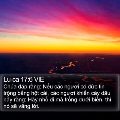 Lu-ca 17:6 VIE Bible Verse Image