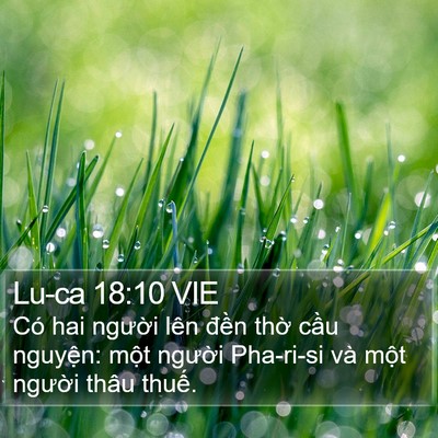 Lu-ca 18:10 VIE Bible Verse Image