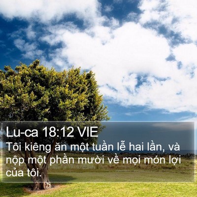 Lu-ca 18:12 VIE Bible Verse Image