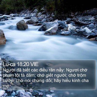 Lu-ca 18:20 VIE Bible Verse Image
