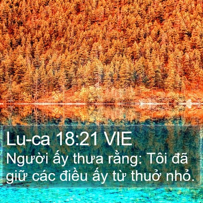 Lu-ca 18:21 VIE Bible Verse Image