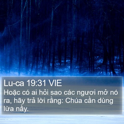 Lu-ca 19:31 VIE Bible Verse Image