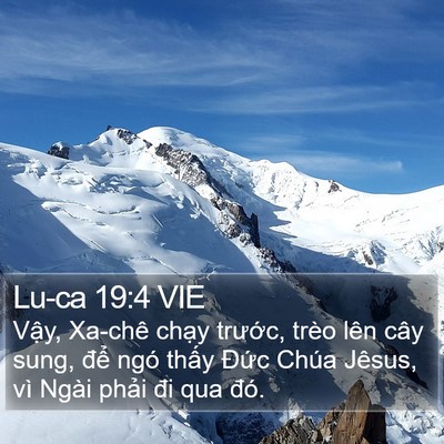 Lu-ca 19:4 VIE Bible Verse Image