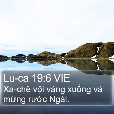 Lu-ca 19:6 VIE Bible Verse Image