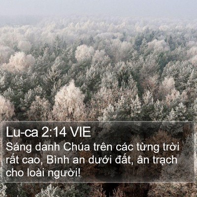 Lu-ca 2:14 VIE Bible Verse Image
