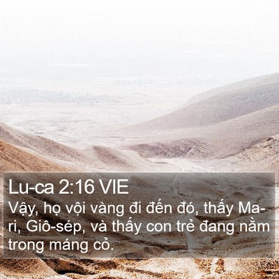Lu-ca 2:16 VIE Bible Verse Image