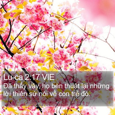 Lu-ca 2:17 VIE Bible Verse Image