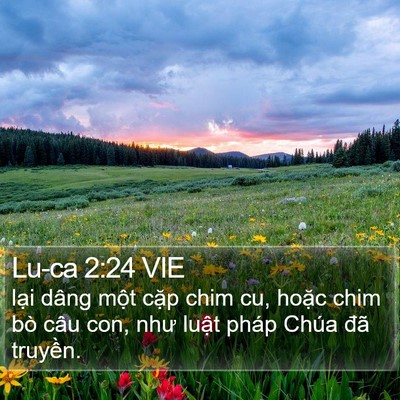 Lu-ca 2:24 VIE Bible Verse Image