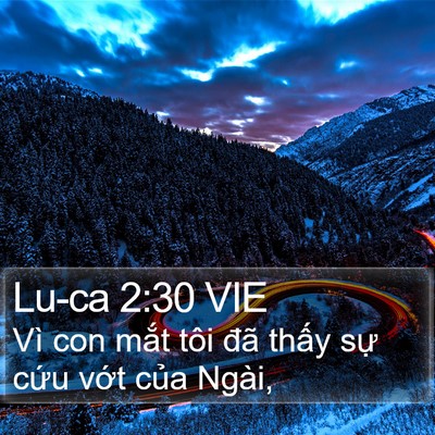 Lu-ca 2:30 VIE Bible Verse Image
