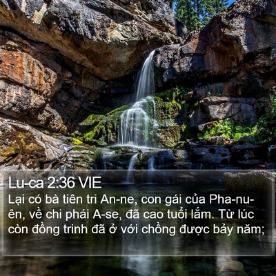 Lu-ca 2:36 VIE Bible Verse Image