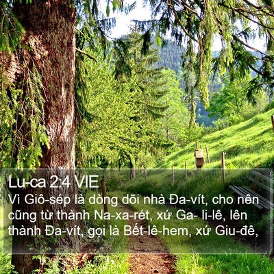 Lu-ca 2:4 VIE Bible Verse Image