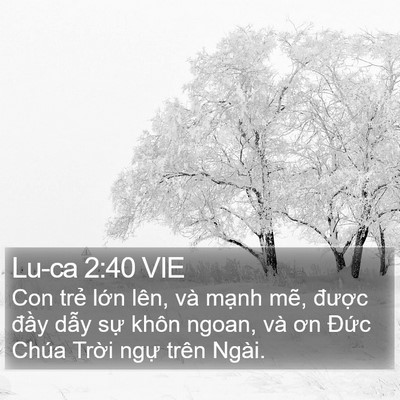 Lu-ca 2:40 VIE Bible Verse Image