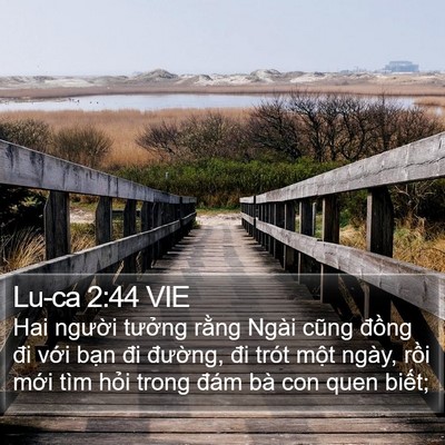 Lu-ca 2:44 VIE Bible Verse Image