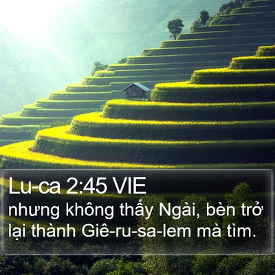 Lu-ca 2:45 VIE Bible Verse Image