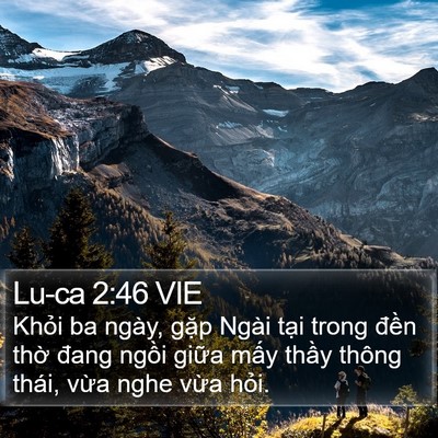 Lu-ca 2:46 VIE Bible Verse Image