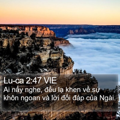 Lu-ca 2:47 VIE Bible Verse Image
