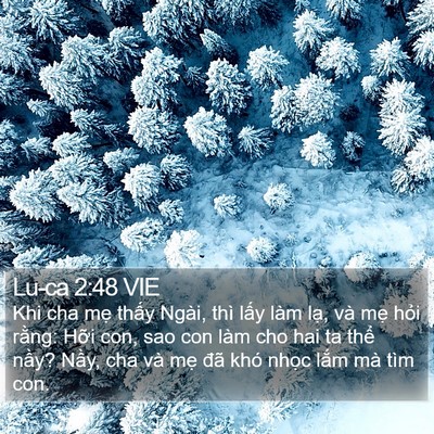 Lu-ca 2:48 VIE Bible Verse Image