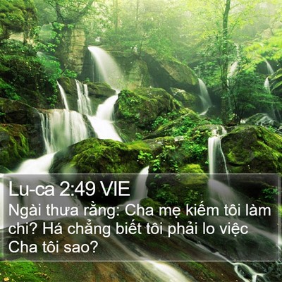 Lu-ca 2:49 VIE Bible Verse Image