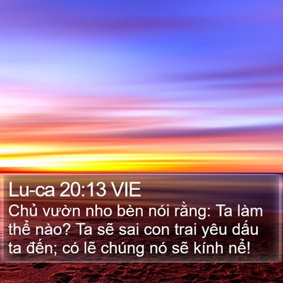 Lu-ca 20:13 VIE Bible Verse Image
