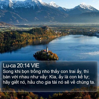 Lu-ca 20:14 VIE Bible Verse Image