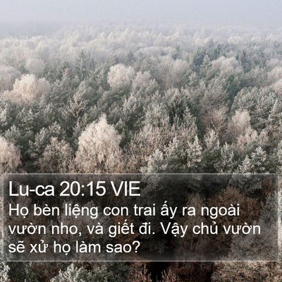 Lu-ca 20:15 VIE Bible Verse Image