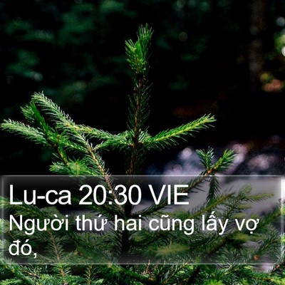 Lu-ca 20:30 VIE Bible Verse Image