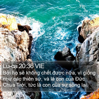 Lu-ca 20:36 VIE Bible Verse Image