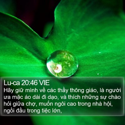 Lu-ca 20:46 VIE Bible Verse Image