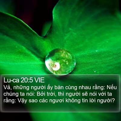 Lu-ca 20:5 VIE Bible Verse Image