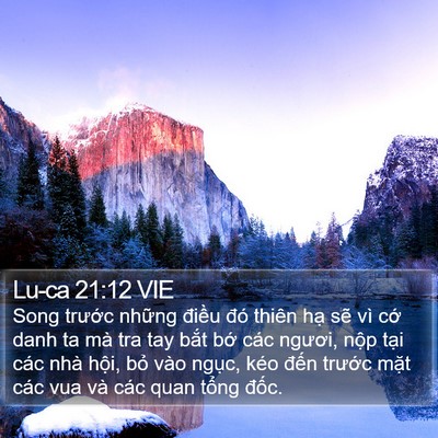 Lu-ca 21:12 VIE Bible Verse Image