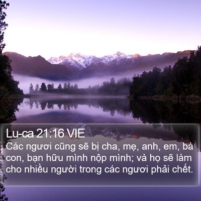 Lu-ca 21:16 VIE Bible Verse Image
