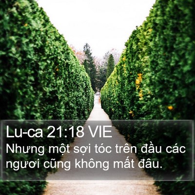 Lu-ca 21:18 VIE Bible Verse Image