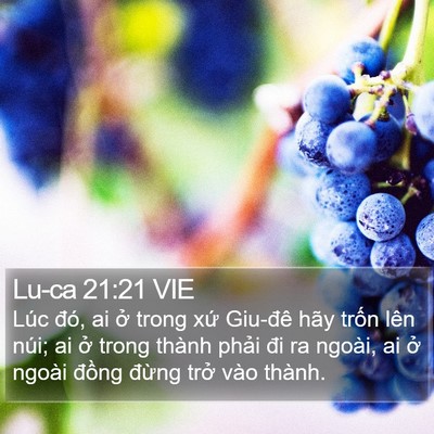Lu-ca 21:21 VIE Bible Verse Image