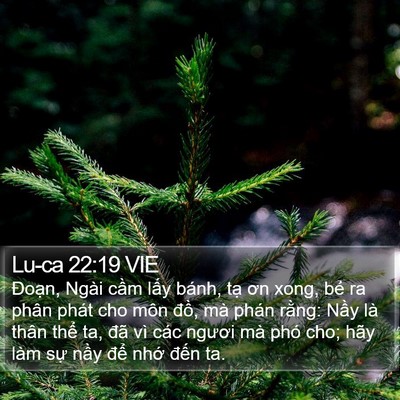 Lu-ca 22:19 VIE Bible Verse Image