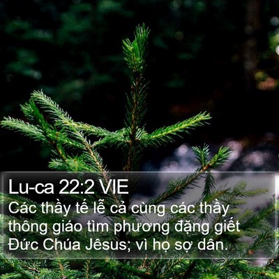 Lu-ca 22:2 VIE Bible Verse Image