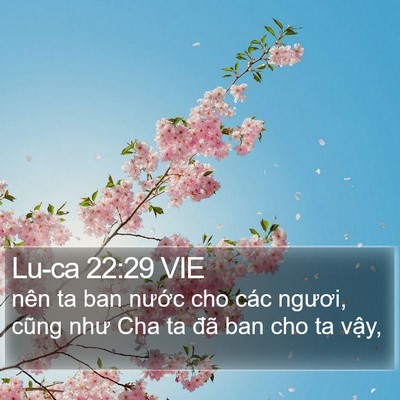 Lu-ca 22:29 VIE Bible Verse Image