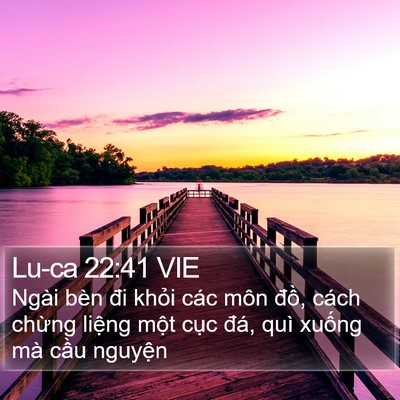 Lu-ca 22:41 VIE Bible Verse Image