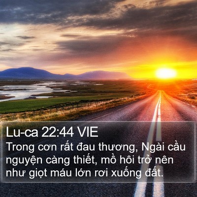 Lu-ca 22:44 VIE Bible Verse Image
