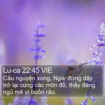 Lu-ca 22:45 VIE Bible Verse Image