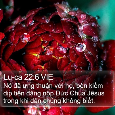 Lu-ca 22:6 VIE Bible Verse Image