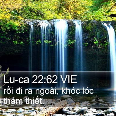 Lu-ca 22:62 VIE Bible Verse Image