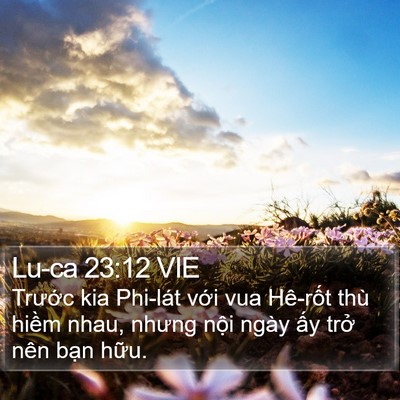 Lu-ca 23:12 VIE Bible Verse Image
