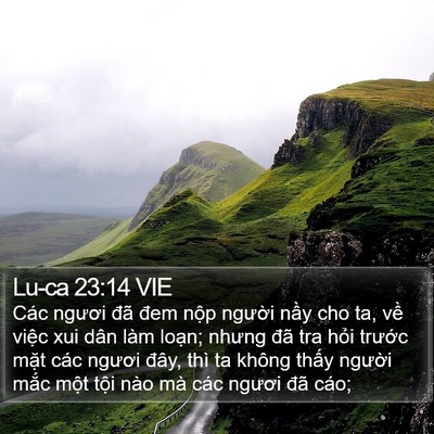 Lu-ca 23:14 VIE Bible Verse Image