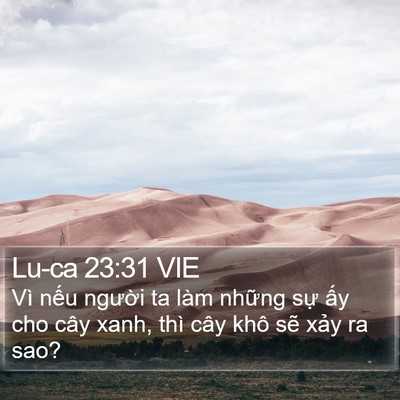 Lu-ca 23:31 VIE Bible Verse Image
