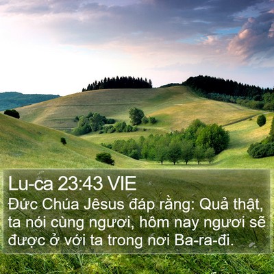Lu-ca 23:43 VIE Bible Verse Image