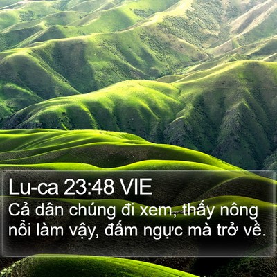 Lu-ca 23:48 VIE Bible Verse Image